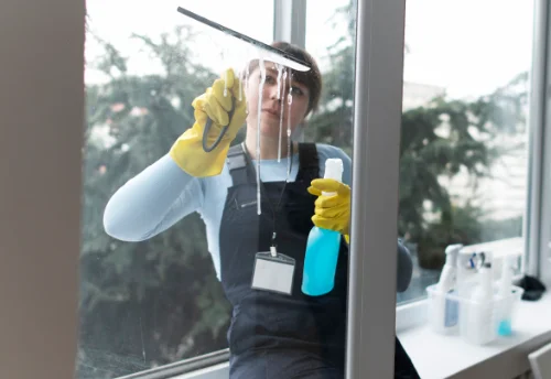 Nettoyage de vitres intérieures et extérieures à Puycapel
